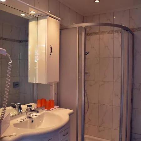 ホテル Rauscher - Naturteichparadies バート・ホーフガシュタイン